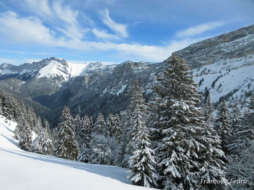 Magnifique Chartreuse