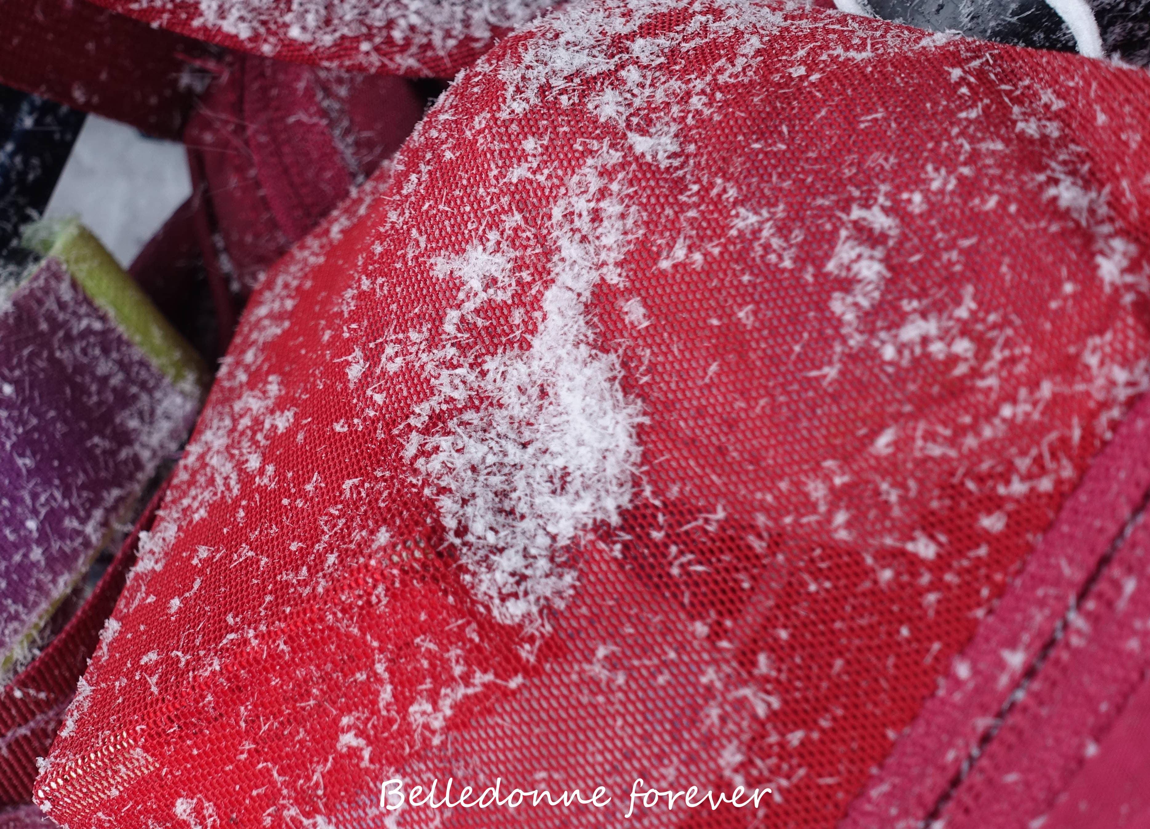 Dimanche enfin de la neige blanche et bien légère A.P.