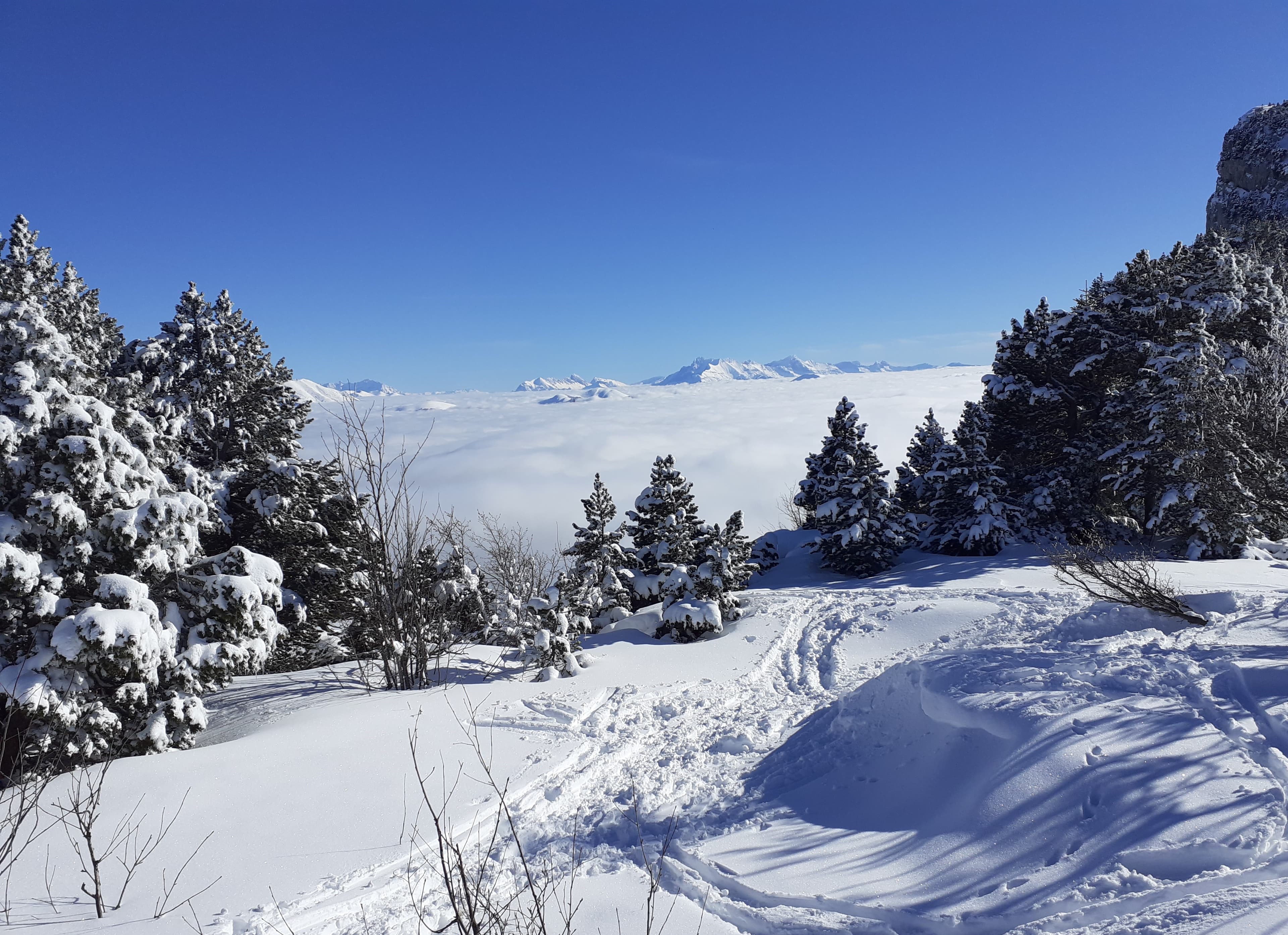mer de nuage