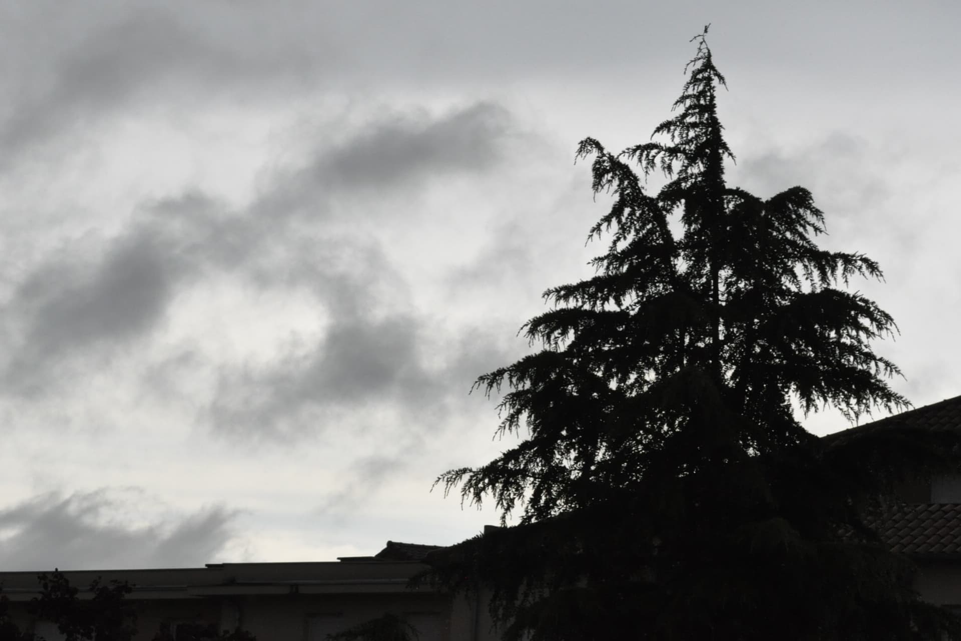 apres les orages !