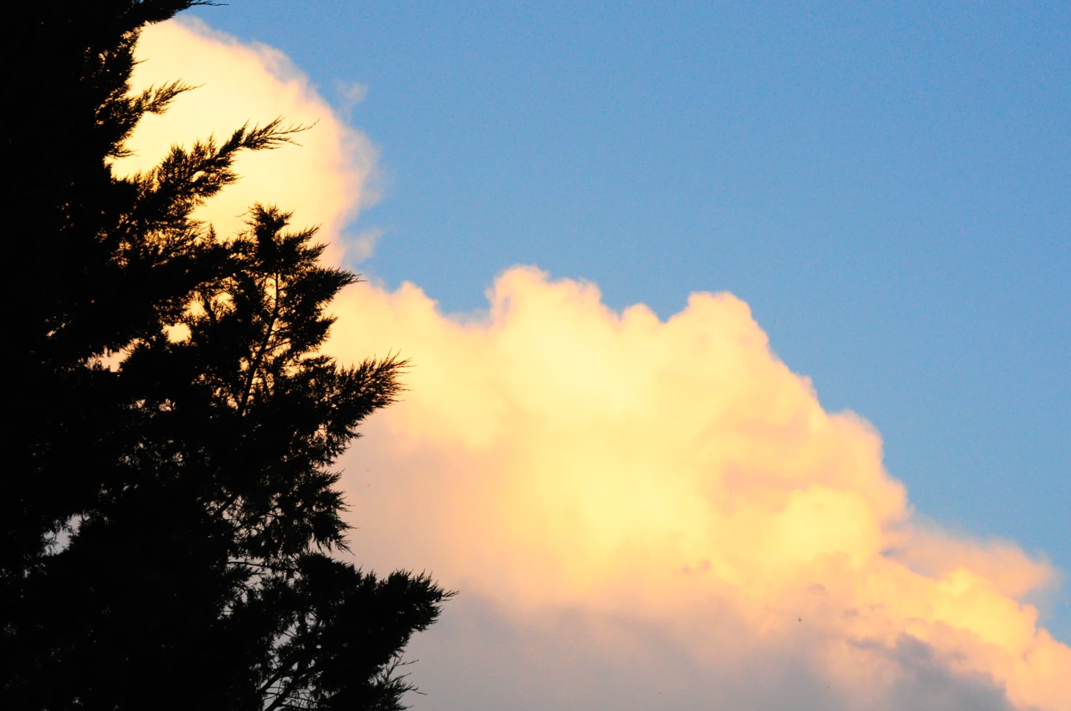 couleurs vives apres l'orage !