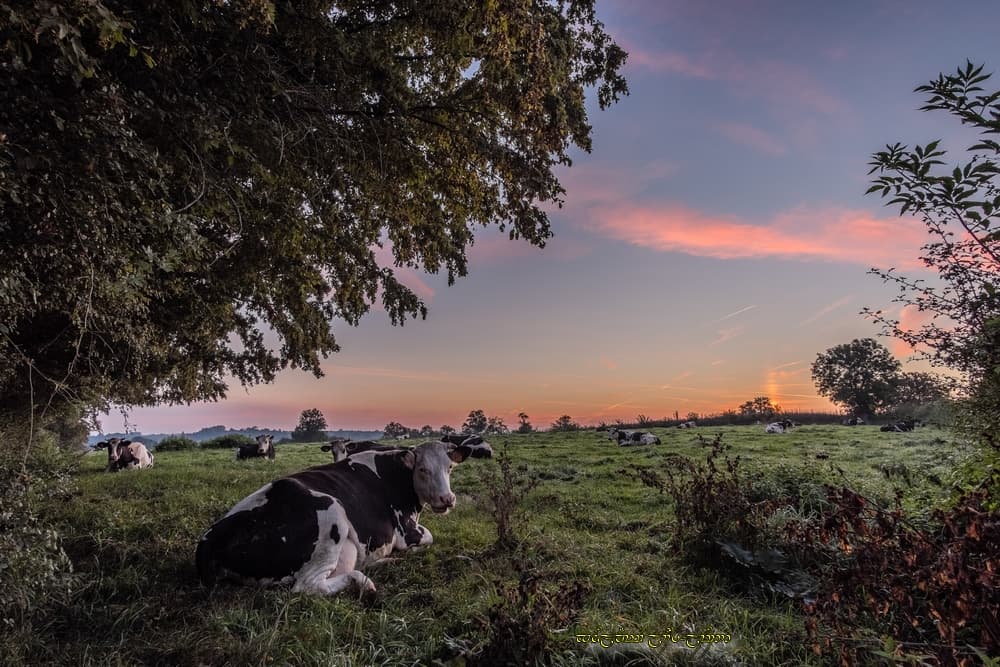 Serein bocage