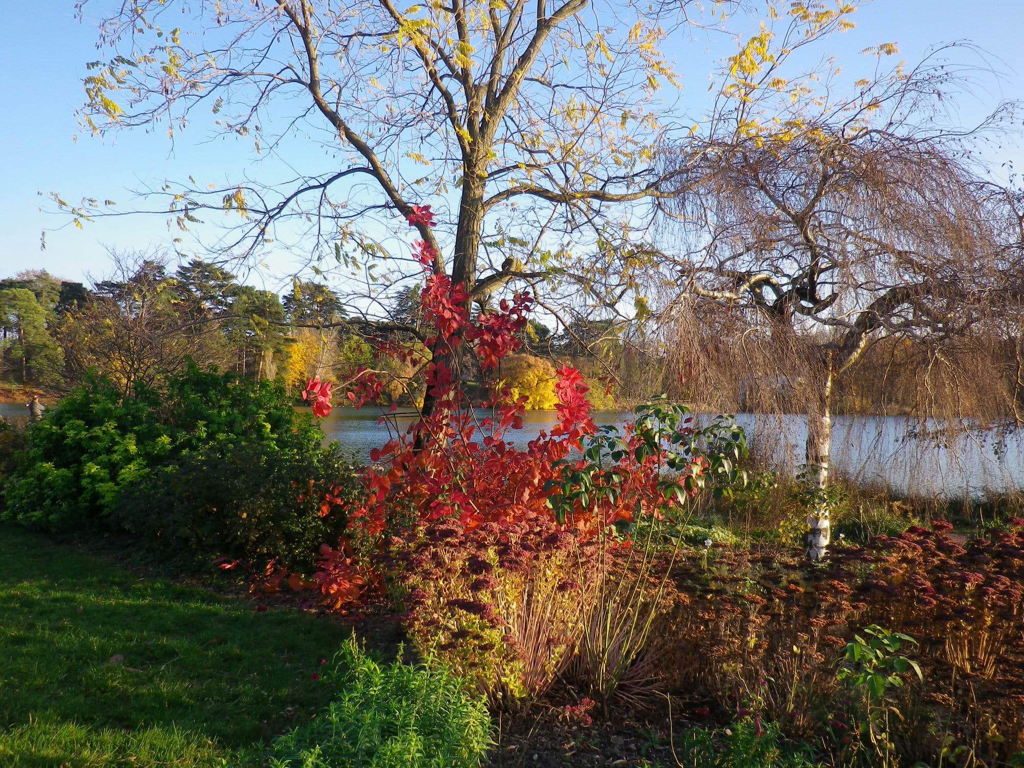 L'automne au bord du lac