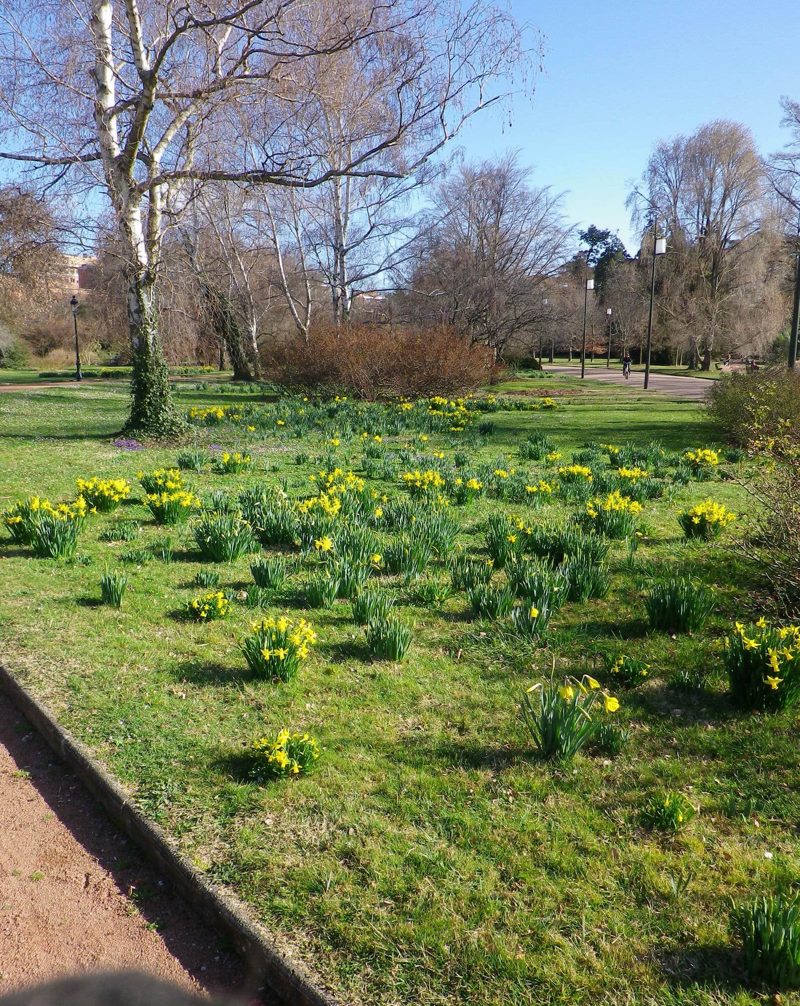 Voilà le printemps !