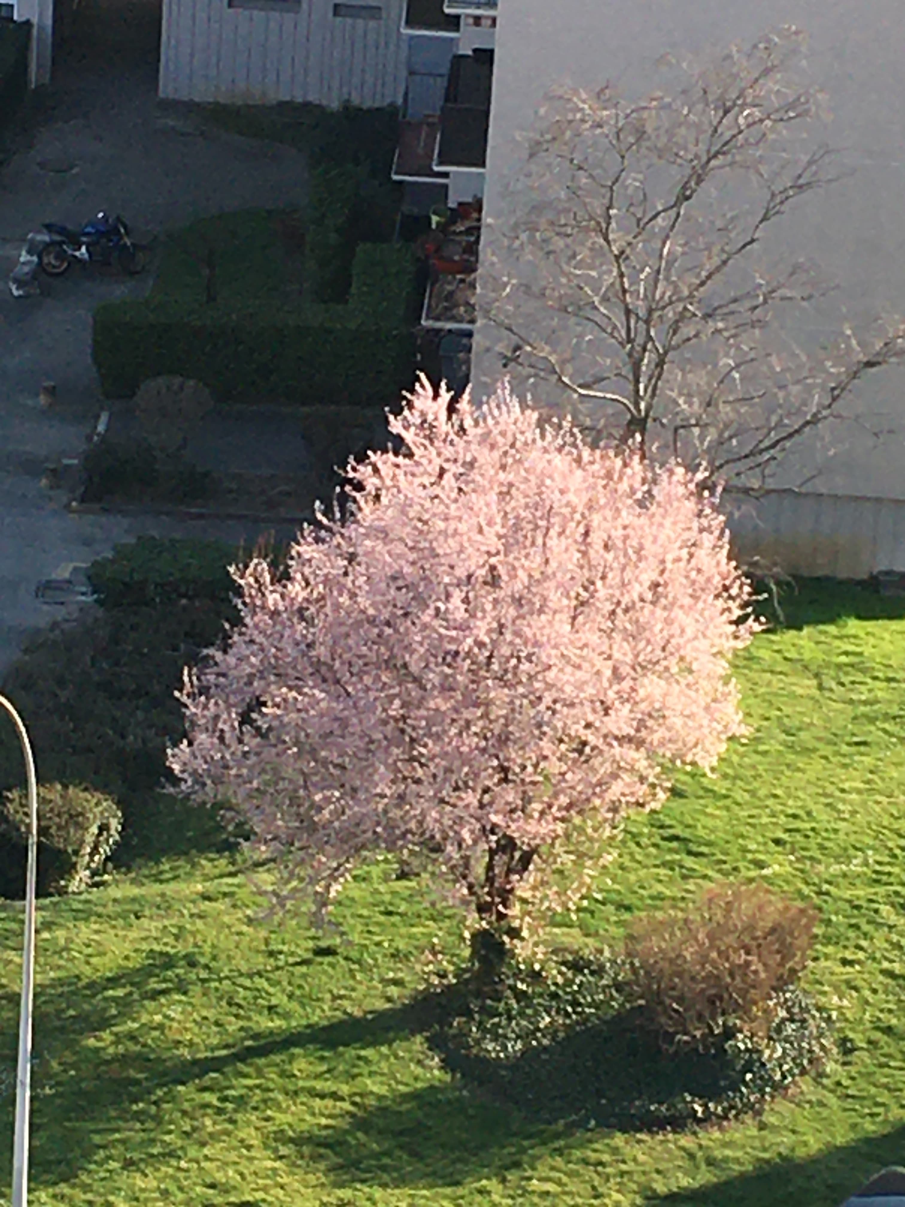 Le printemps est là !