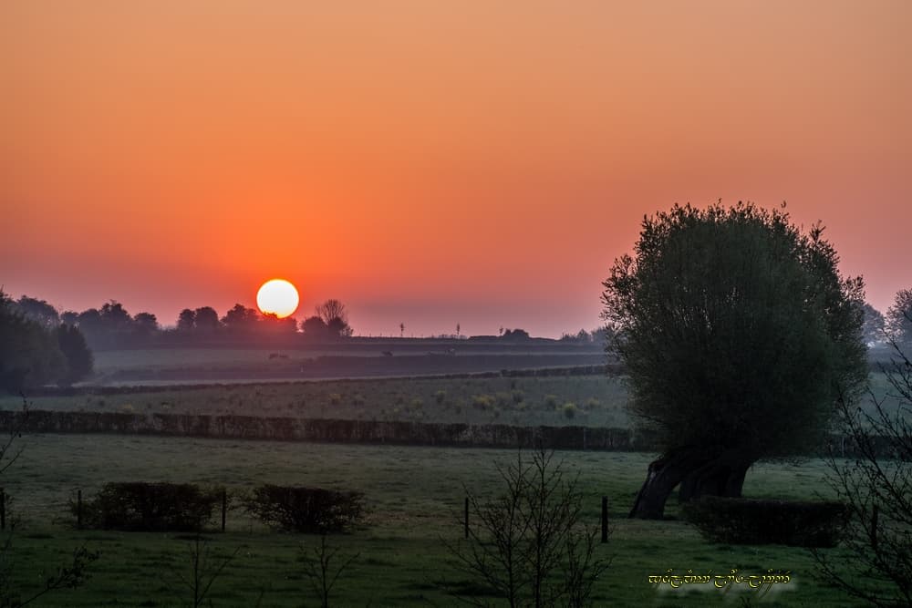 Clarté dans le bocage