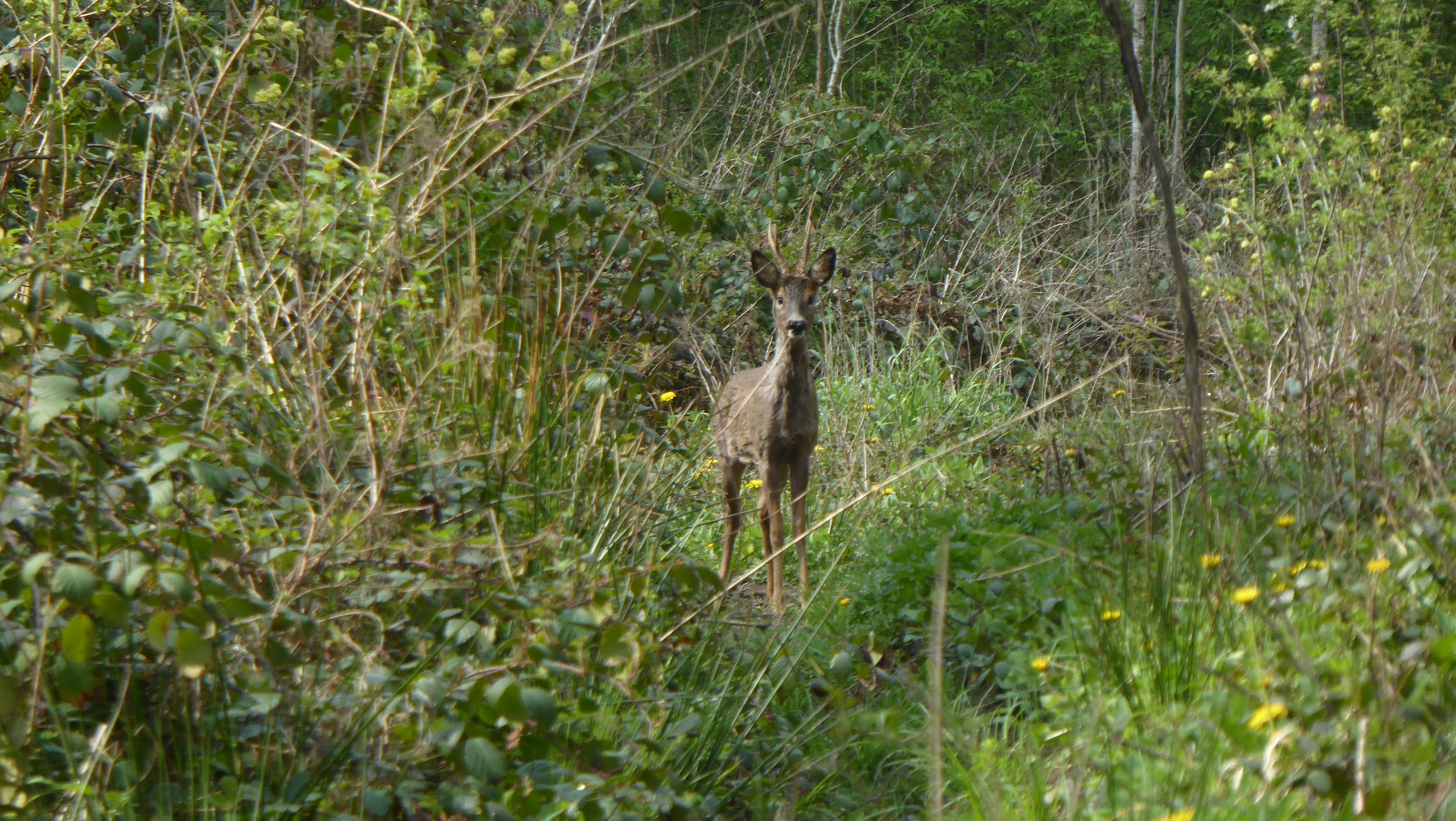Une rencontre