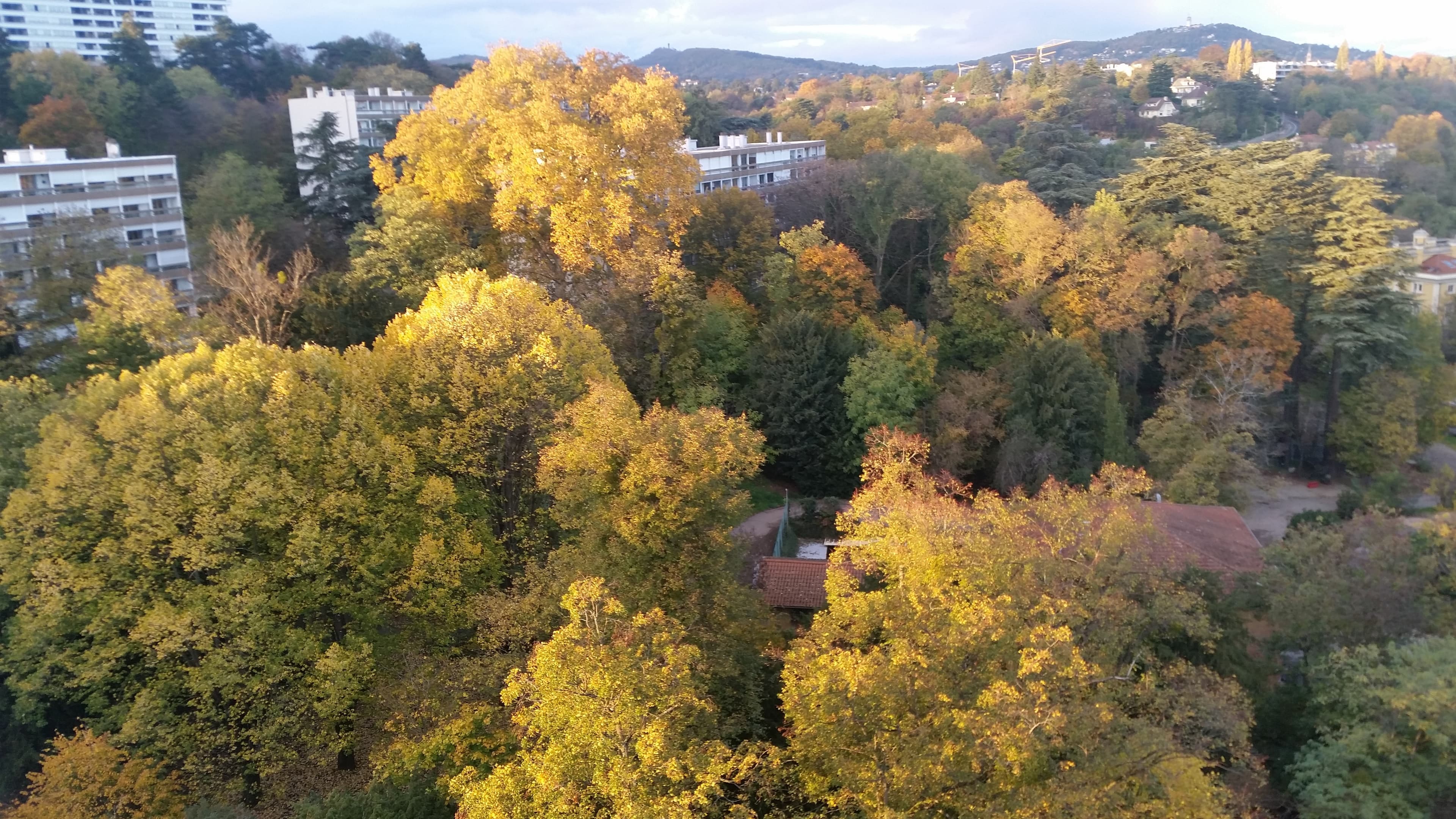 Enfin les couleurs de l'automne LYON 19/11 - 16h30