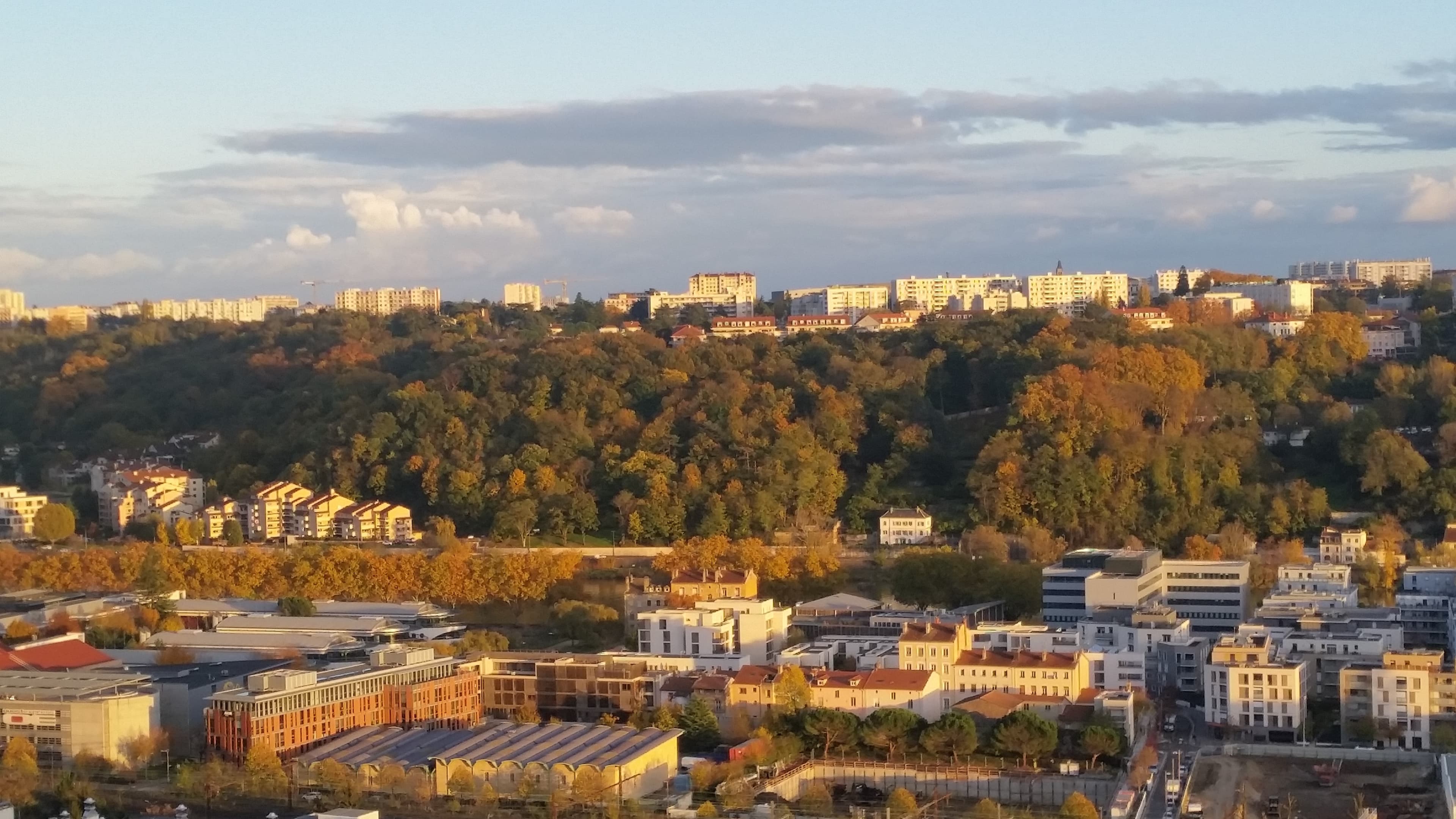 Couleurs de l'automne N°2  LYON 19/11 - 16h35