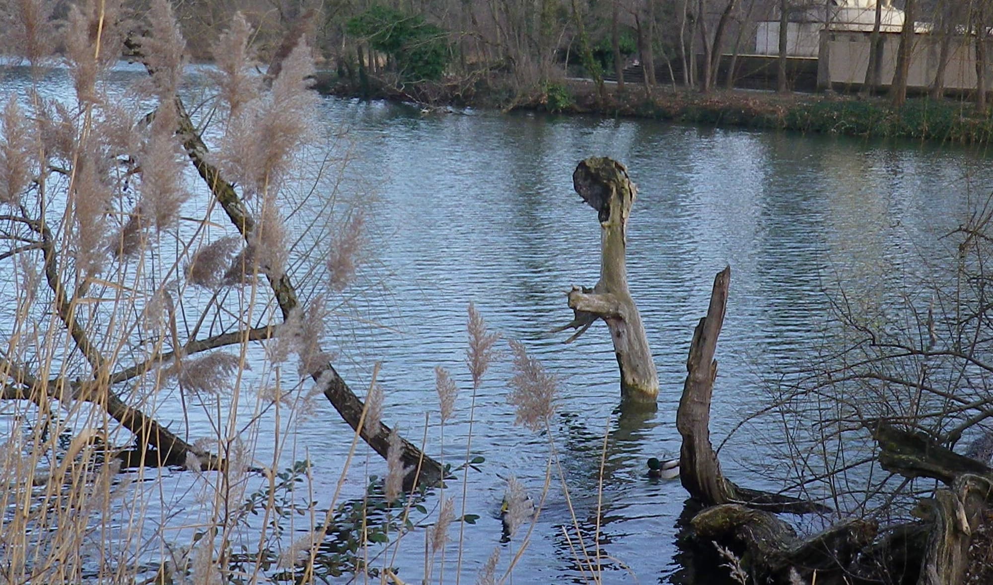 Le monstre surgit  du lac de la Tête d'Or !