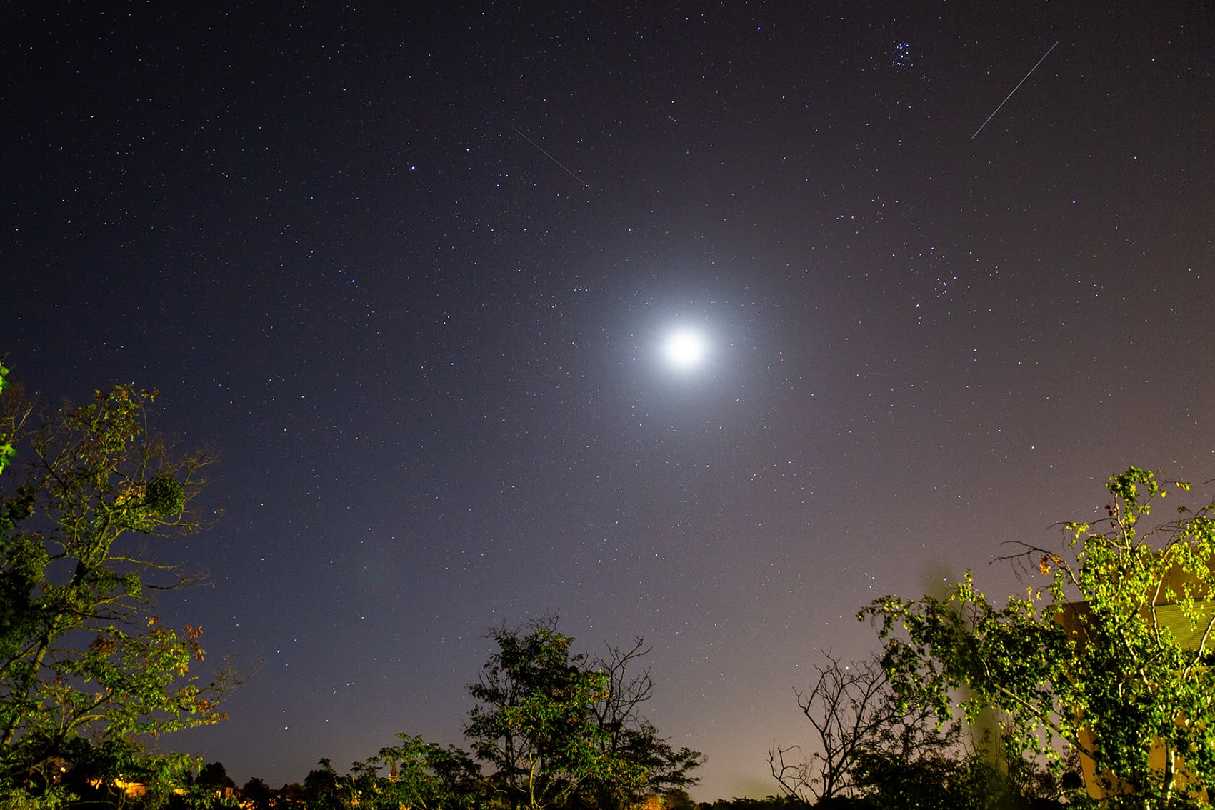 Etoiles filantes au dessus de Sathonay le 11 /08/2023