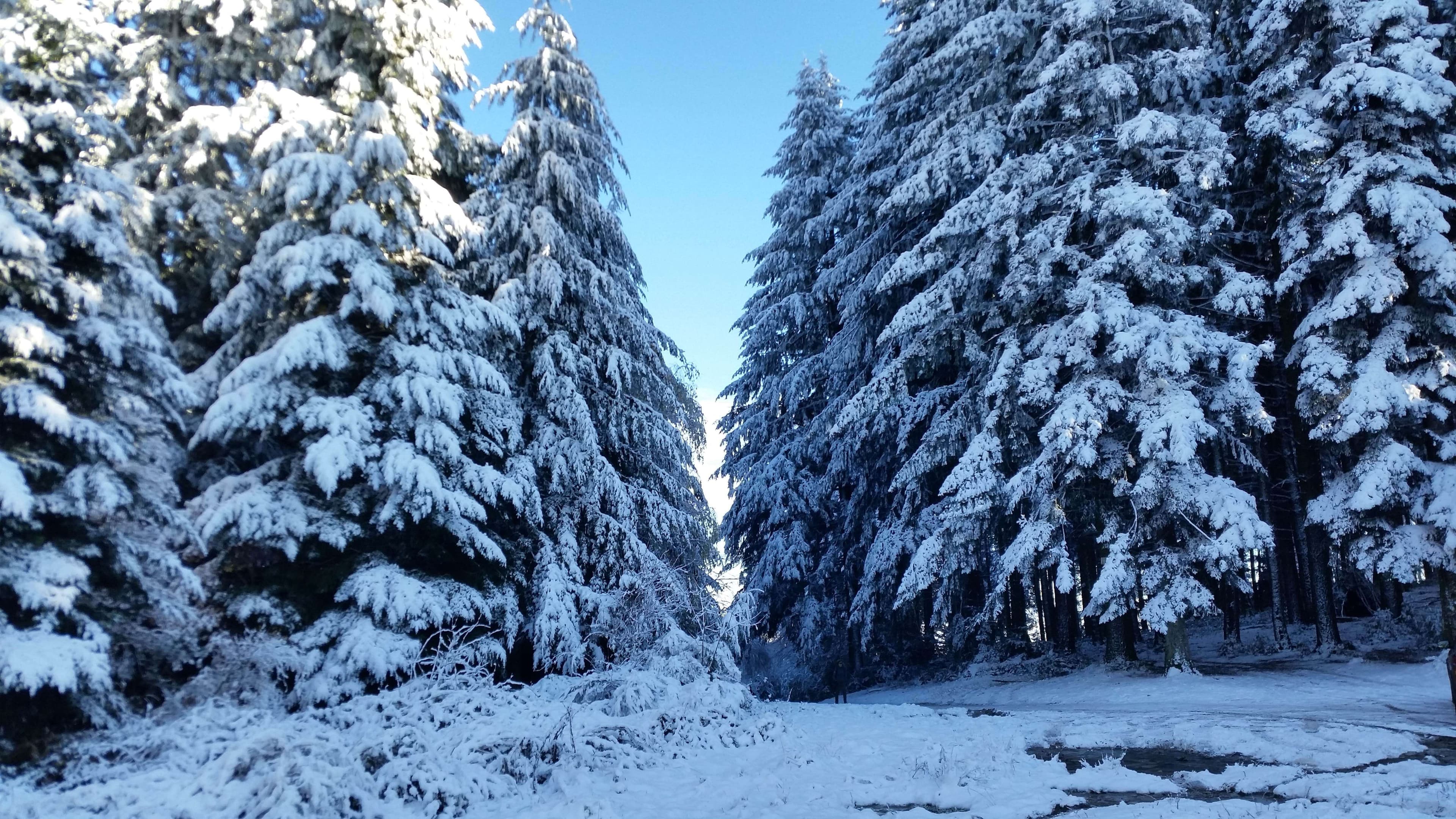 1ere neige Monts du Lyonnais