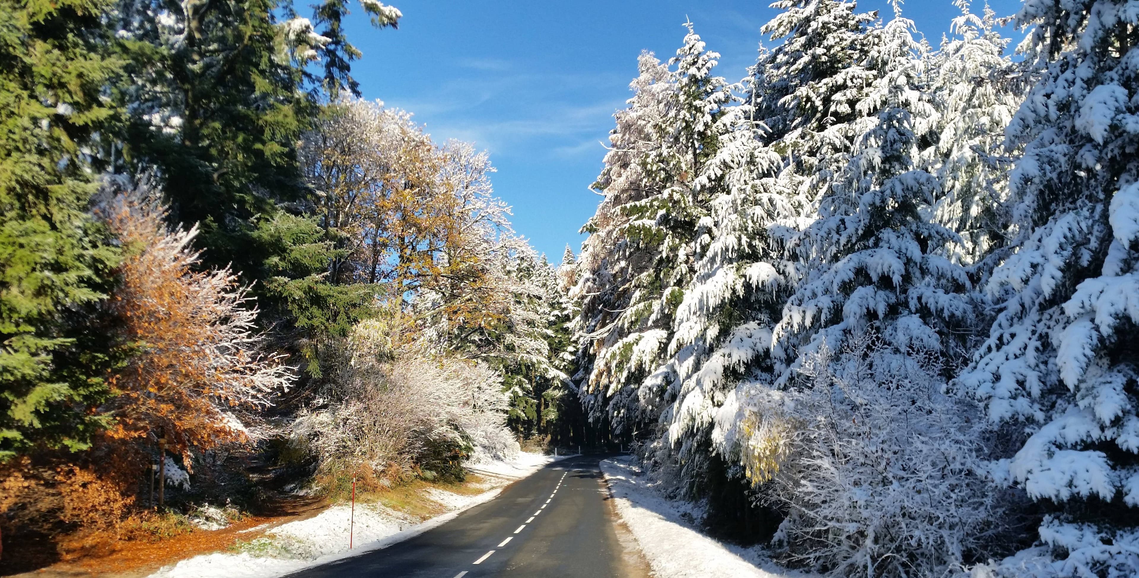 1ere Neige Monts du Lyonnais suite