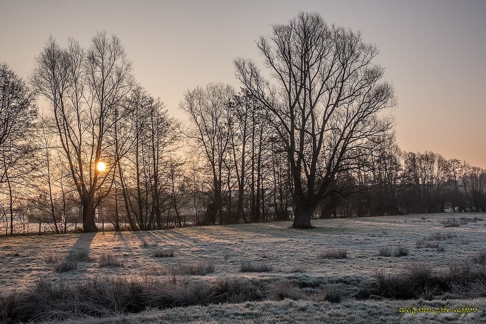 Givre dans le fond