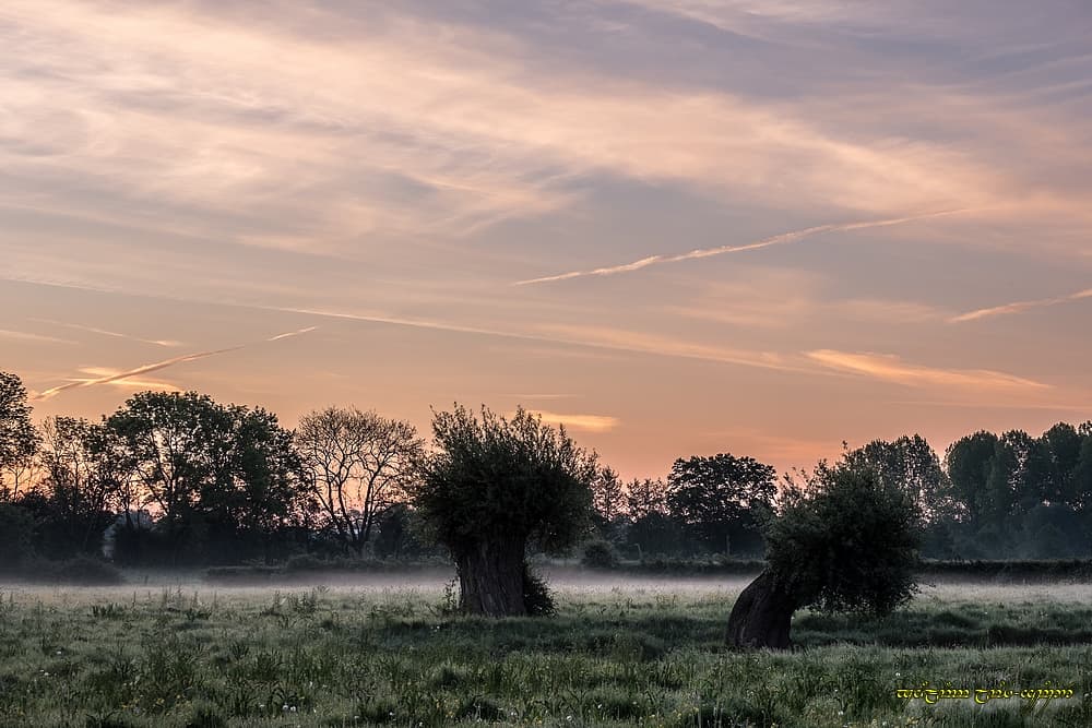 Brume légère