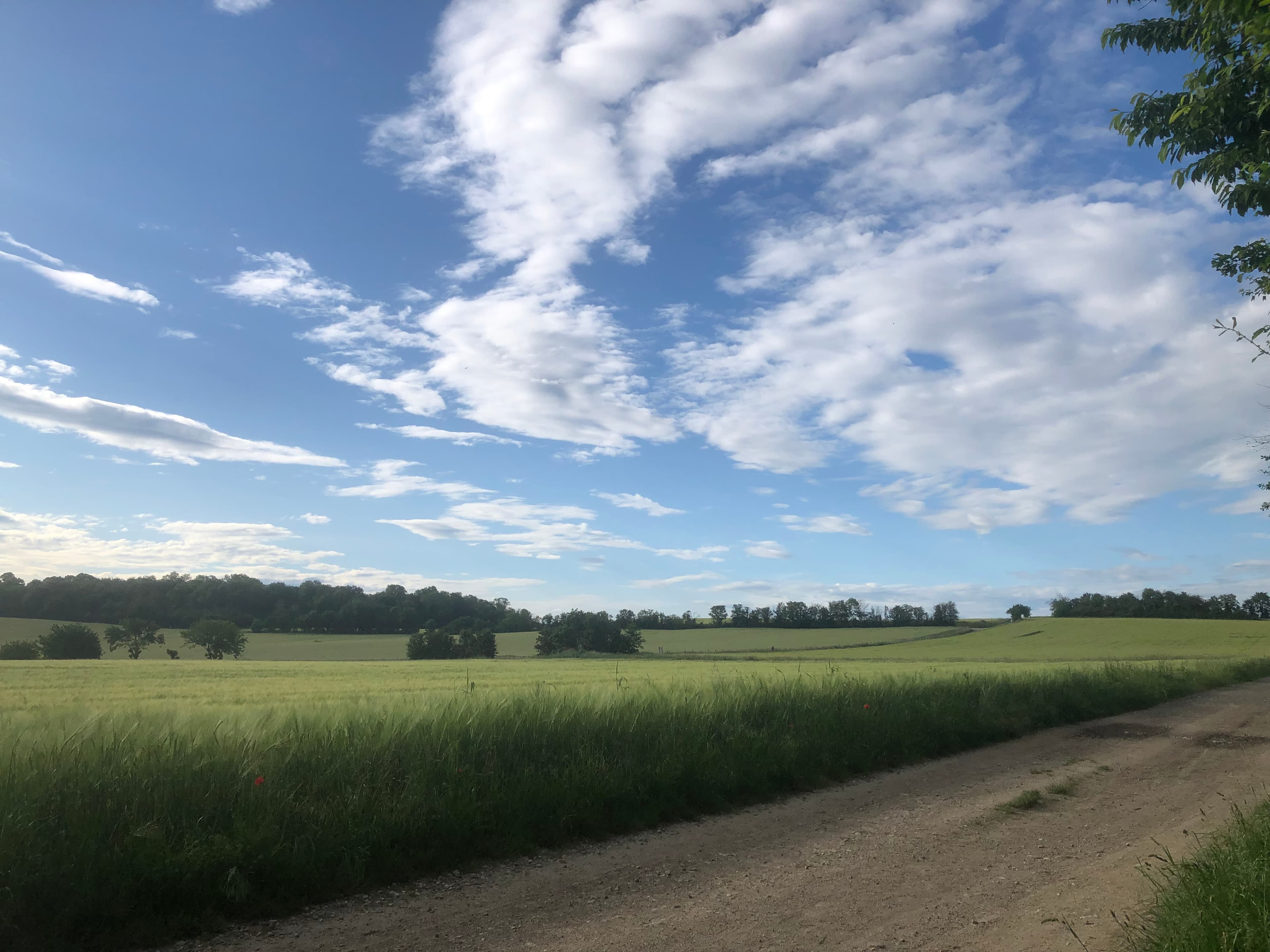 Les grandes terres