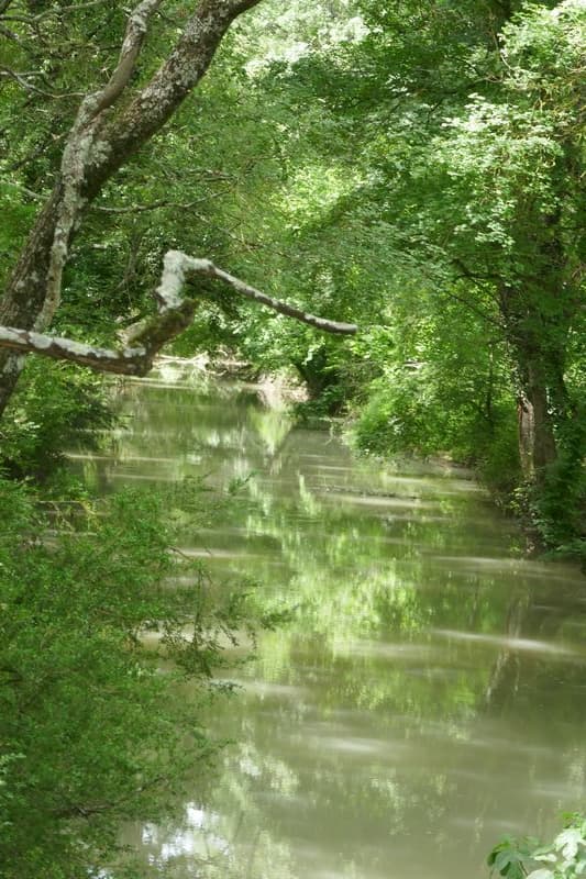 reflets sur l'argens