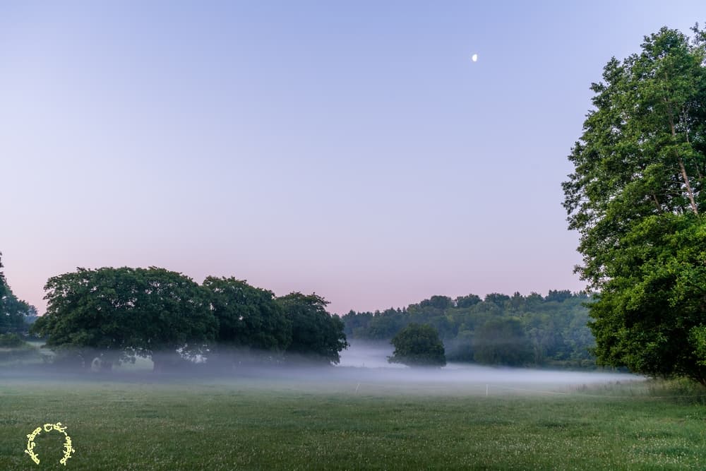 Lune et nappe