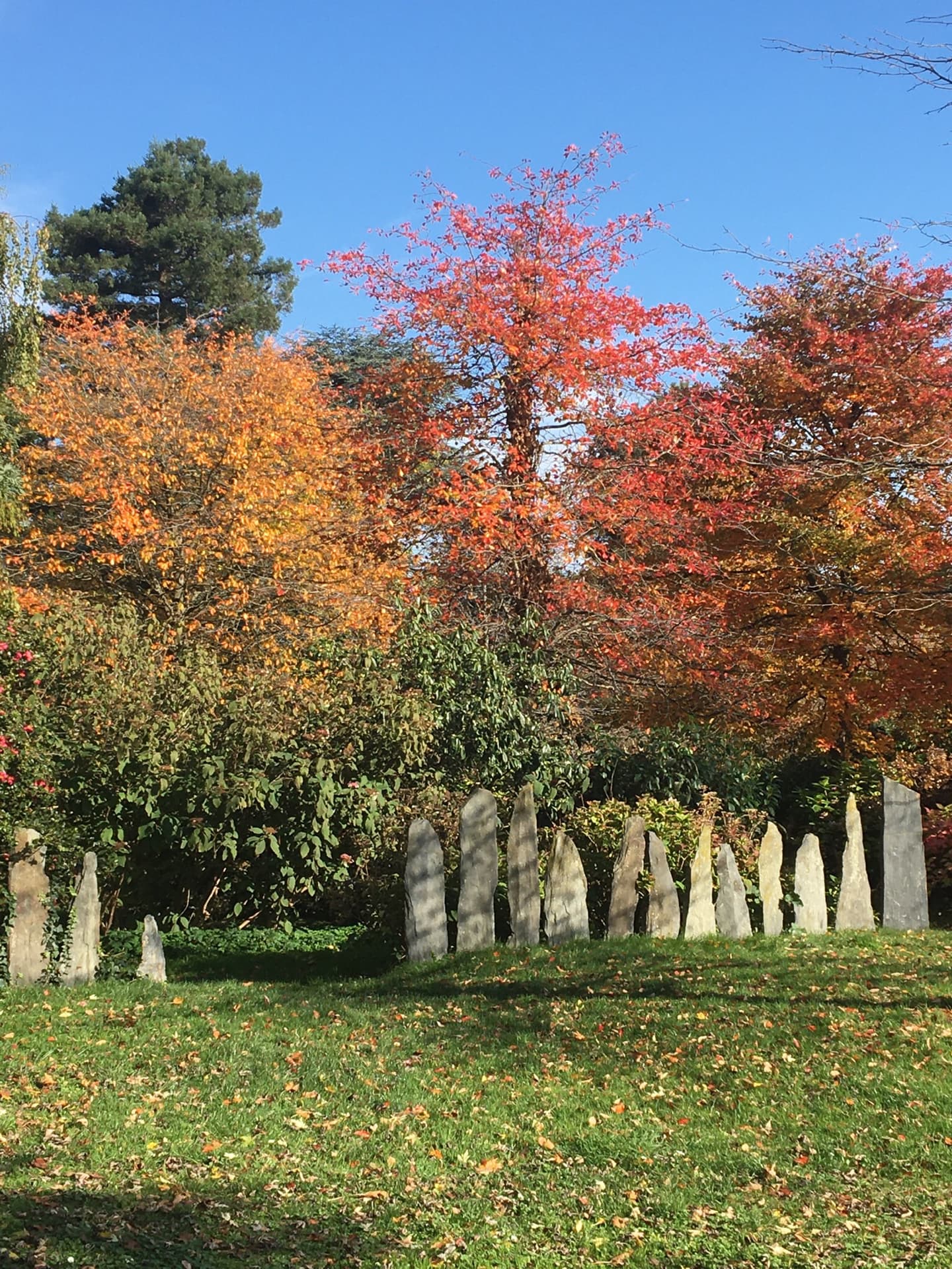 arboretum-a-lautomne