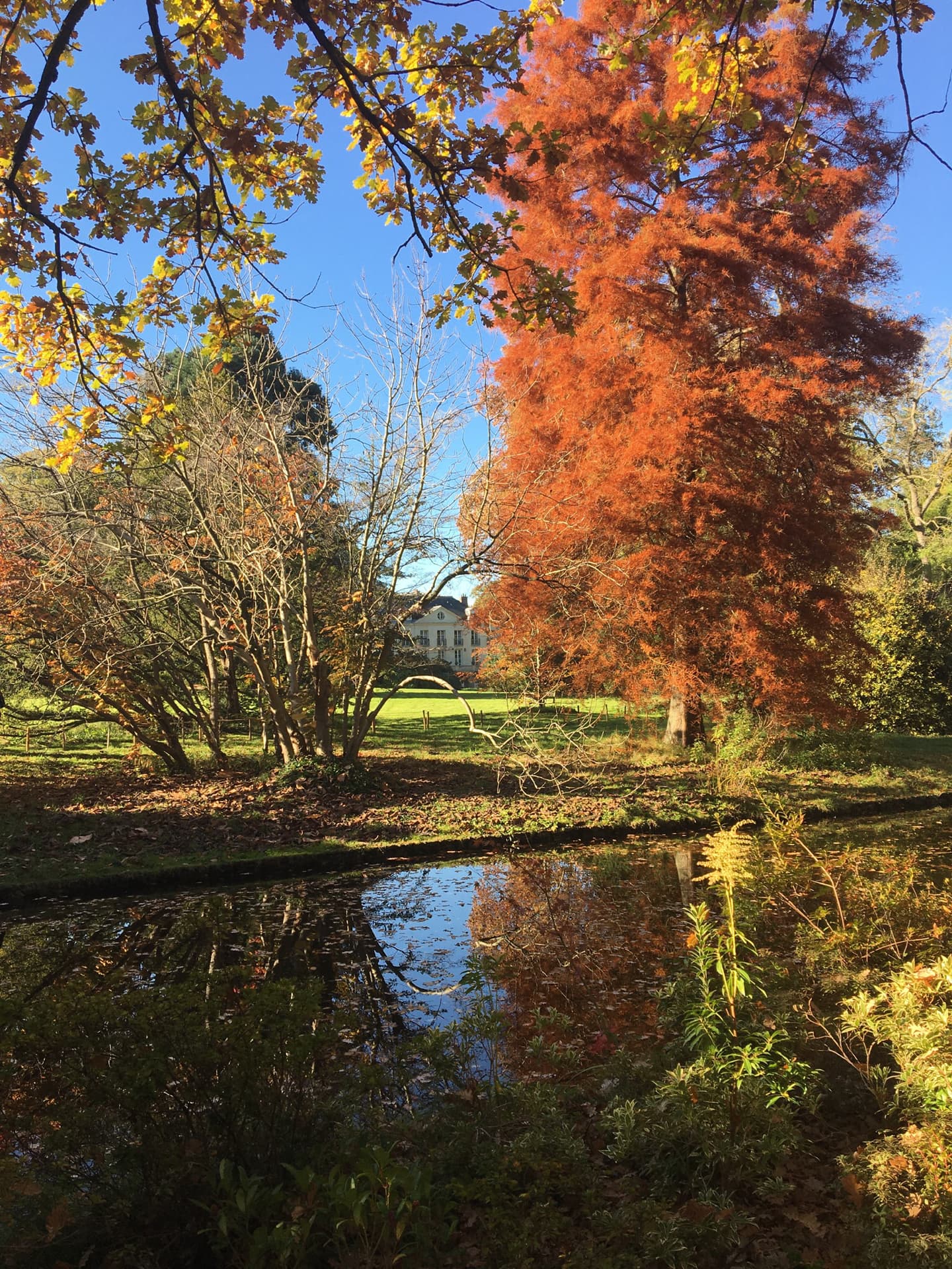 arboretum-a-lautomne