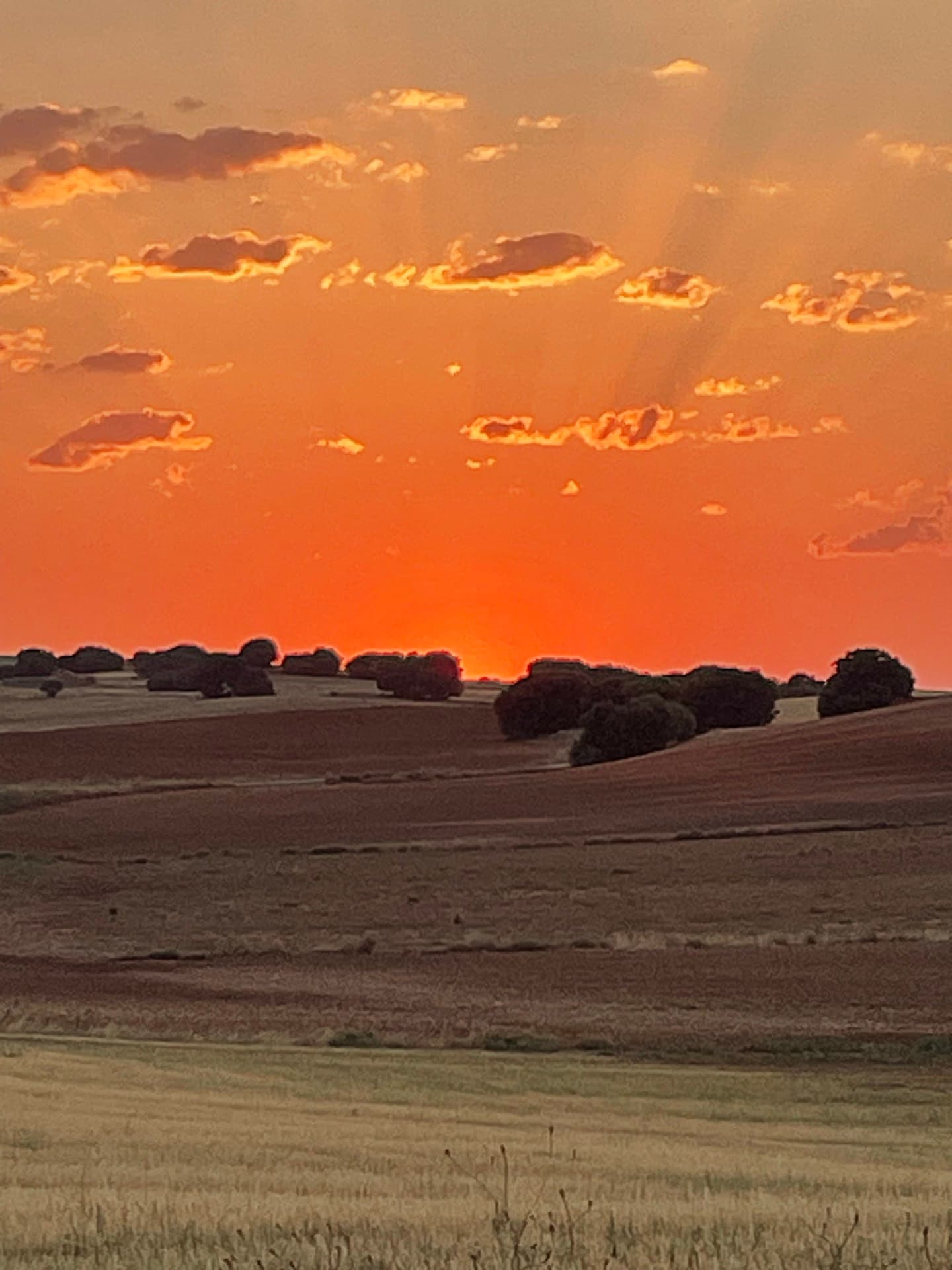 la-fin-dune-eclipse