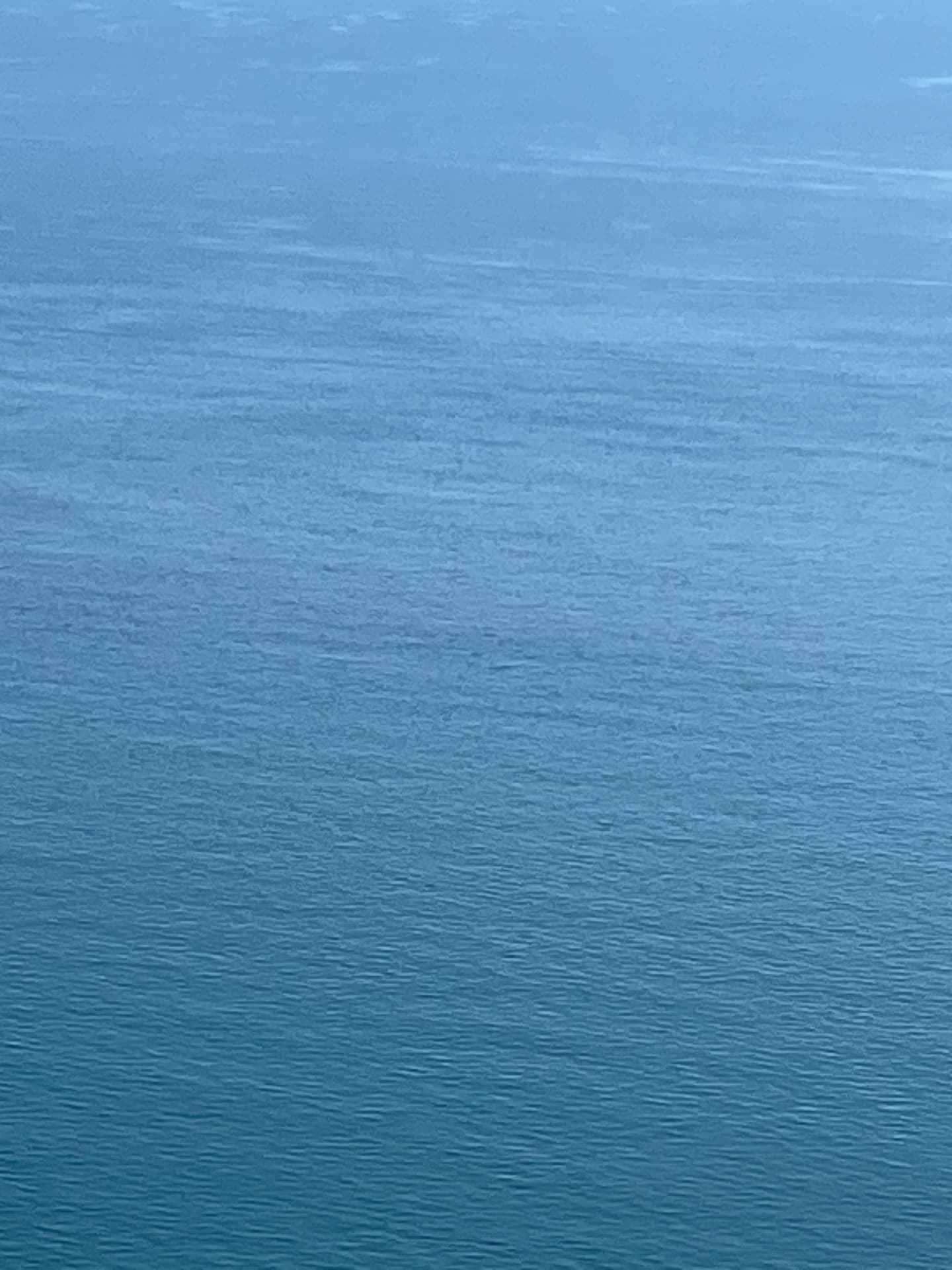 nicebleu