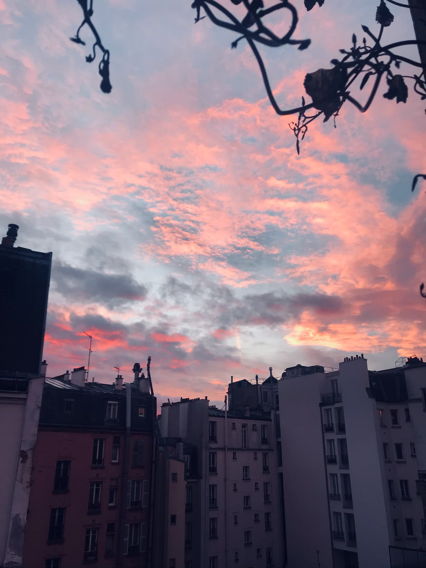 samedi-19-decembre-8h30