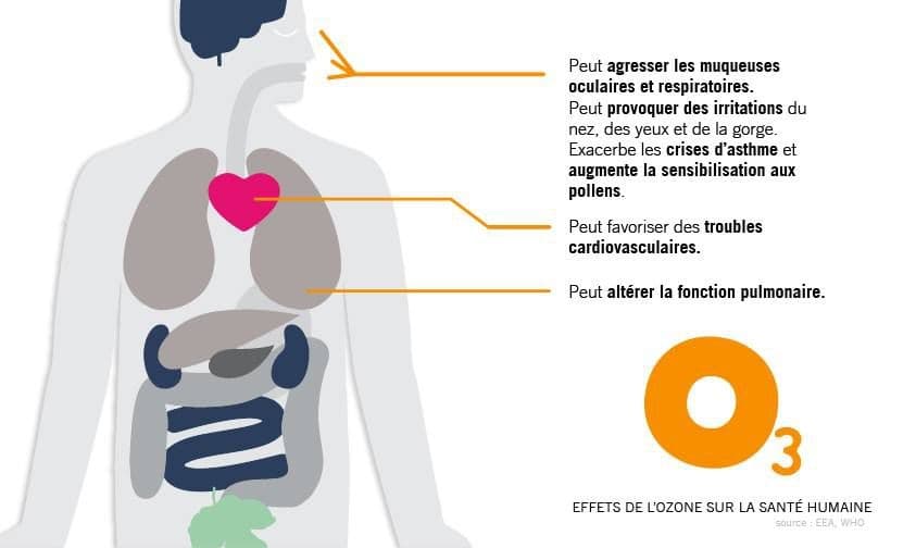 Image d'illustration pour Vigilance rouge canicule... mais pas que!