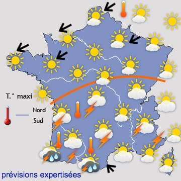 Image d'illustration pour Pollens - suivi et prévision
