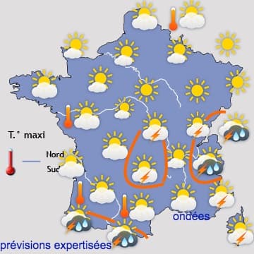 Image d'illustration pour Pollens - suivi et prévision