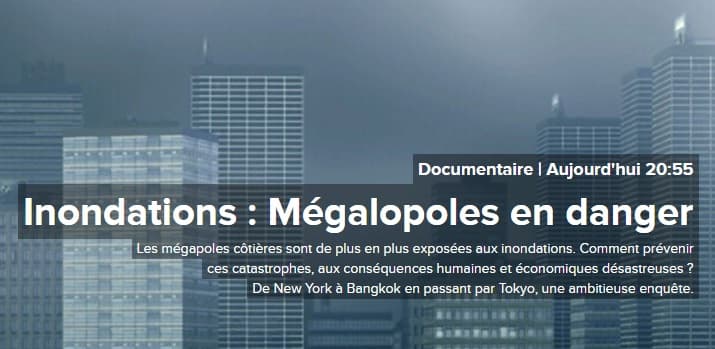 Image d'illustration pour Inondations : Mégalopoles en danger