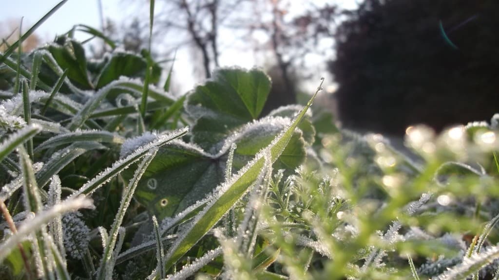 Image d'illustration pour Vos plus belles photos de givre