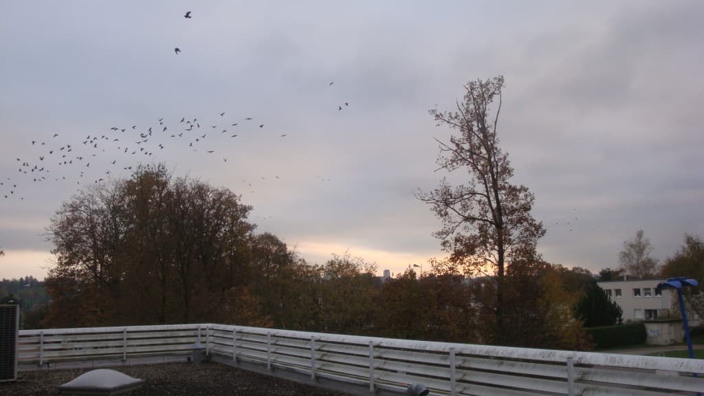 Image d'illustration pour Vos photos météo de la semaine