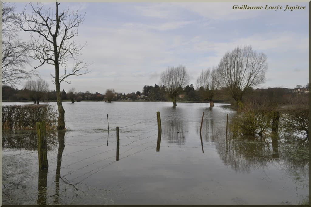 Image d'illustration pour Crue des Helpes Majeure et Mineure dans l'Avesnois