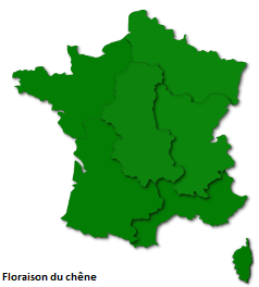 Image d'illustration pour Les pollens de graminées se diffusent pendant l'Ascension