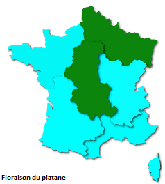 Image d'illustration pour Les pollens de graminées se diffusent pendant l'Ascension