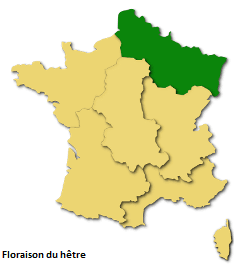 Image d'illustration pour Les pollens de graminées se diffusent pendant l'Ascension