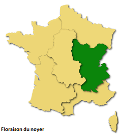 Image d'illustration pour Les pollens de graminées se diffusent pendant l'Ascension