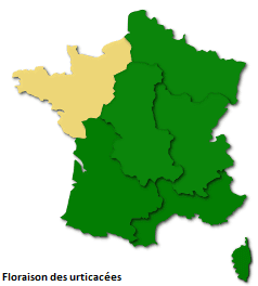 Image d'illustration pour Les pollens de graminées se diffusent pendant l'Ascension