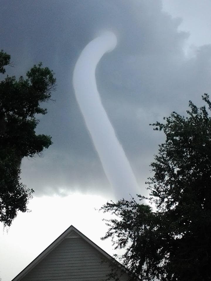 Image d'illustration pour Trombe spectaculaire et tornades en Floride