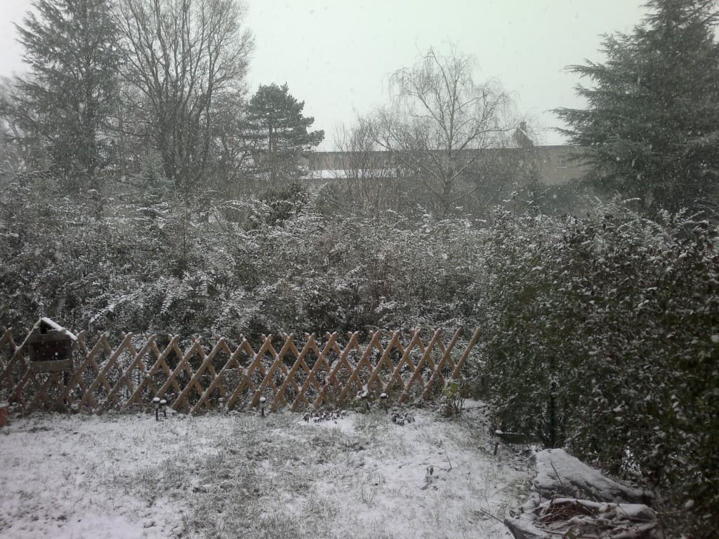1er matin blanc 