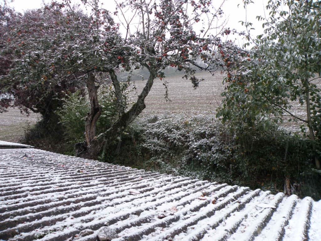 1es neiges turripinoises