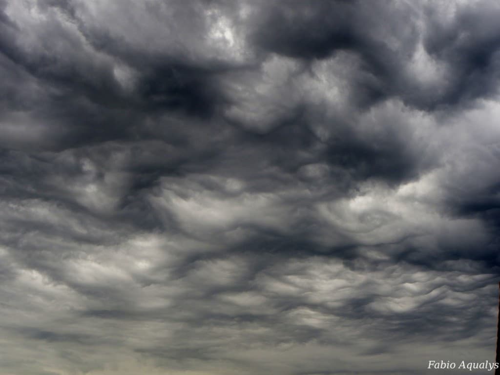 Asperatus 