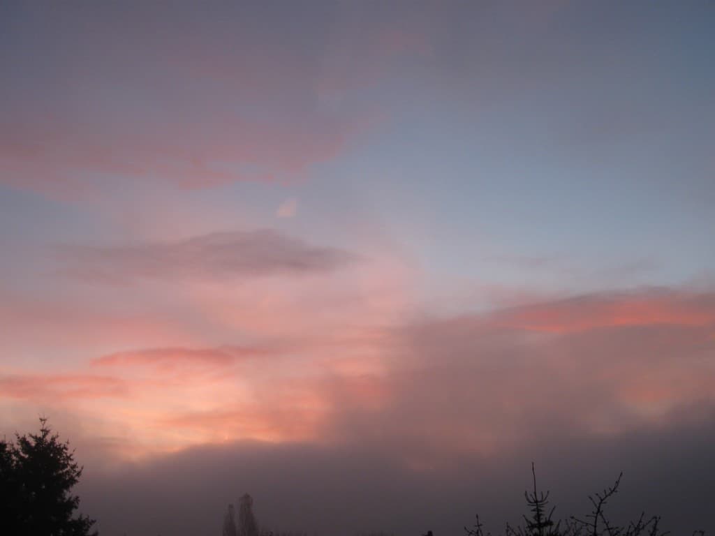 Aurore brumeuse du matin