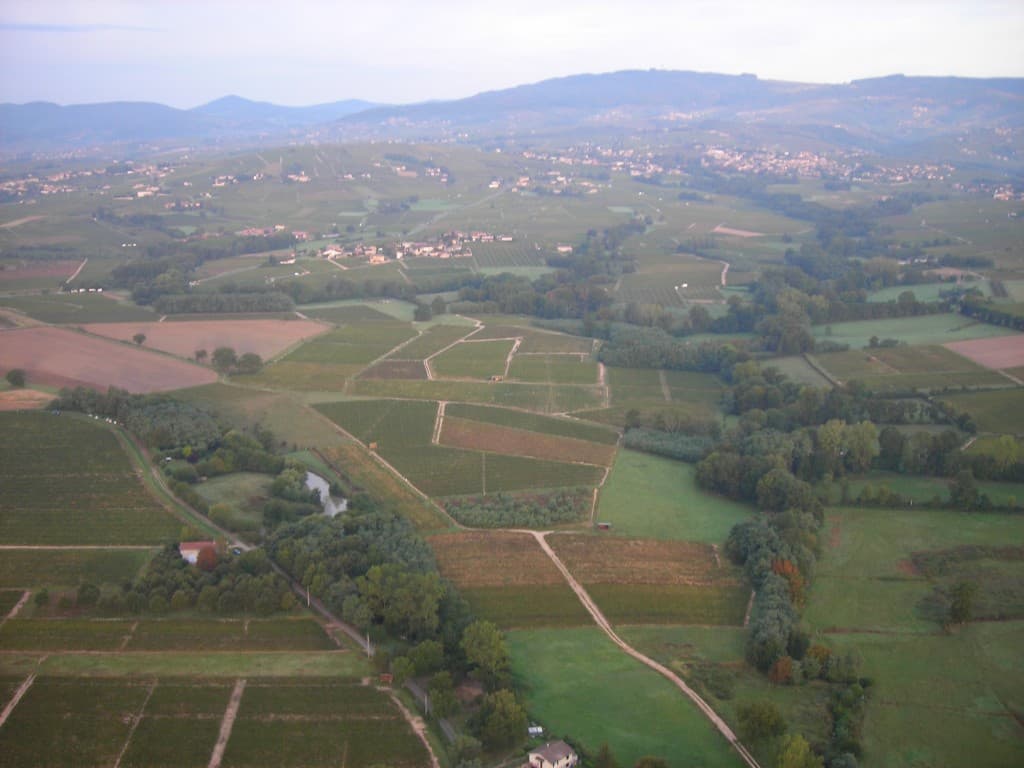 beaujolais