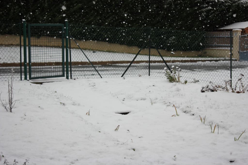 neige