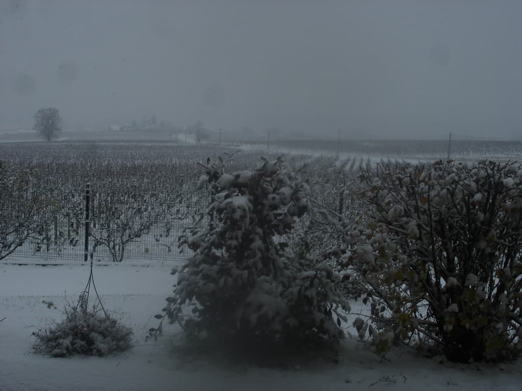 NEIGE A THEIZE 