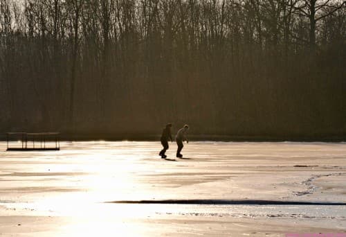 Patin sur Dombes 