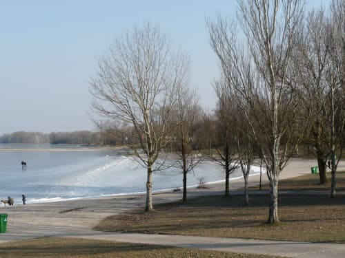 patinoire du parc de Miribel jonage