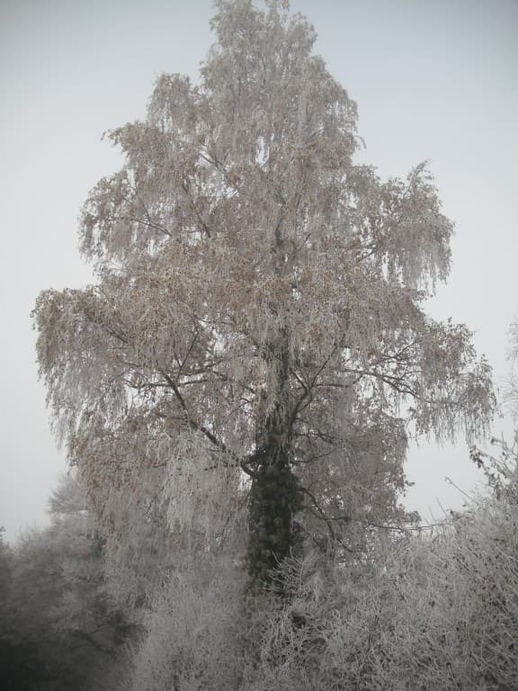 blancheur